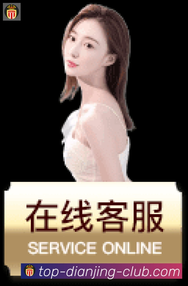 登录器